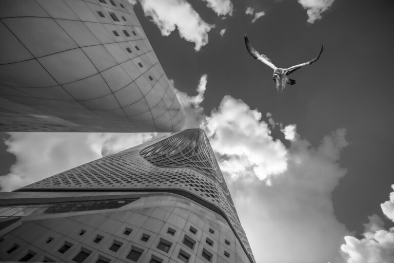 Moments in Black and white - Have a birds eye view of